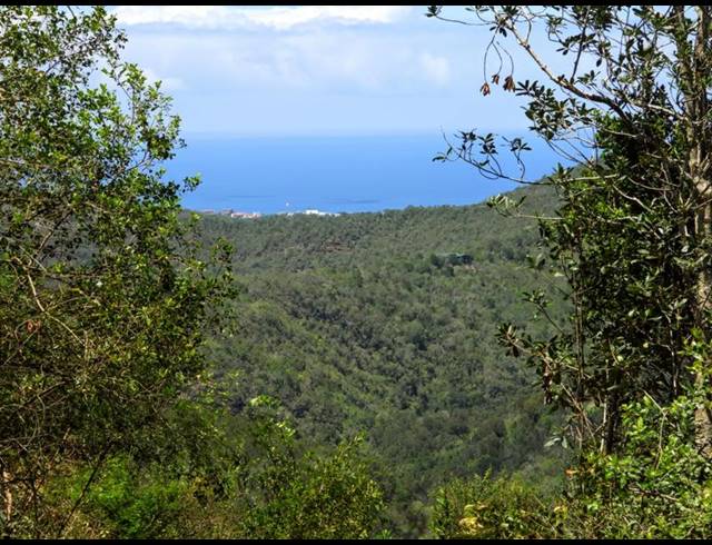 LAND FOR SALE IN HOEKWIL